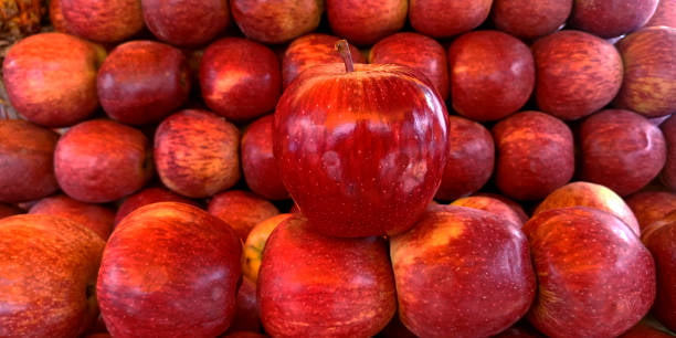 فروش سیب صادراتی